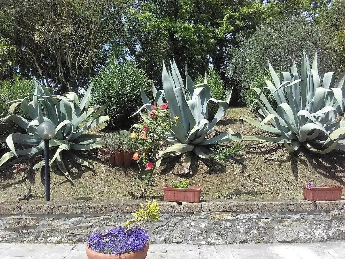 Affittacamere Il Vigneto Hotel Manciano